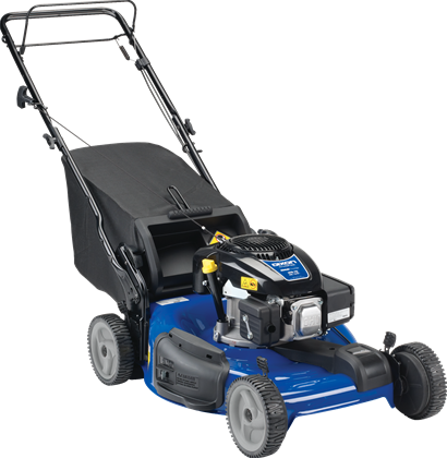 Dixon Lawn Mower